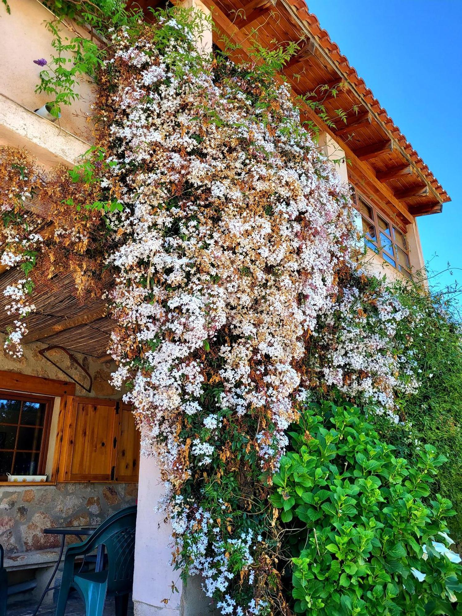Casa Rural Balcon Del Camino Viejo Valencia de Alcántara Exterior foto